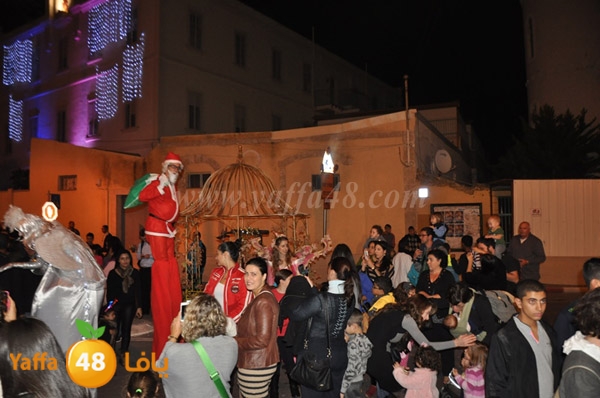 tree milad shajara (37).JPG